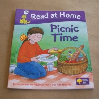 Picnic Time, Cynthia Rider & Alex Brychta, Used; Very Good Book