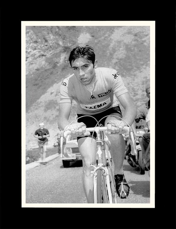 Póster de Eddy Merckx - Compra / Venta