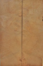 Maple Hard Burl 1 pc Thin Inlay 3/8" x 2" x 6" 5635