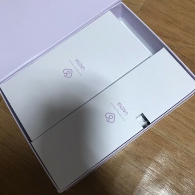 IU 아이유　ファンコンサート　特典　非売品　グッズ　サボテン IU 아이유 ファンコンサート 特典 非売品 グッズ サボテン IU
