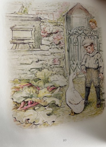 Peter Rabbit Beatrix Potter Hardback Book Set (2009) Naturally Better - Picture 2 of 10