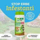 Foto 2 di 10