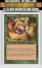 Magic_the_gathering Classic Sixth Edition #253 Stalking Tiger