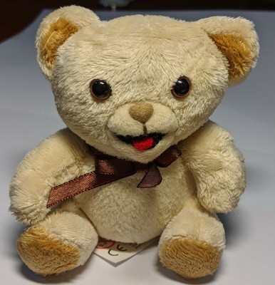 orsacchiotto coccolino