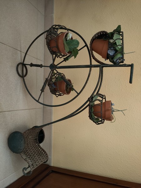 macetas bonsai