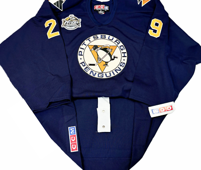 PRO -56G MARC-ANDRE FLEURY PITTSBURGH PENGUINS 2011 WINTER CLASSIC