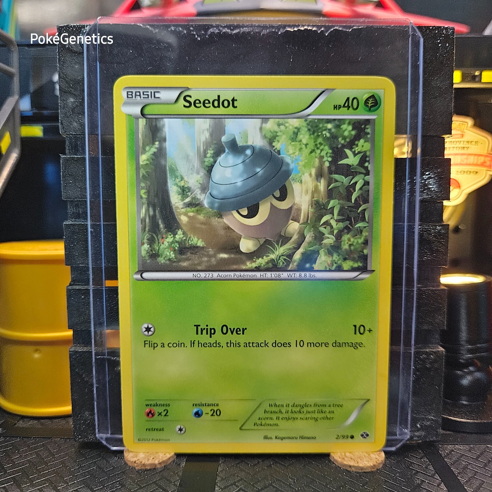 Seedot Next Destinies Pokémon TCG 2/99 Black & White 4 Common