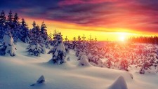 Landscape snow trees sunset nature sunlight cold Custom Gaming Mat Desk