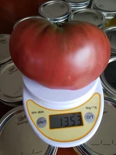 Dwarf Purple Heart Tomato Seed Organic 10 Count *Free Shipping*