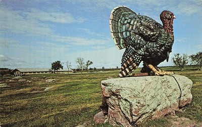 World's Largest Turkey statue Frazee Minnesota Blue Mound Inn Vtg Postcard J23