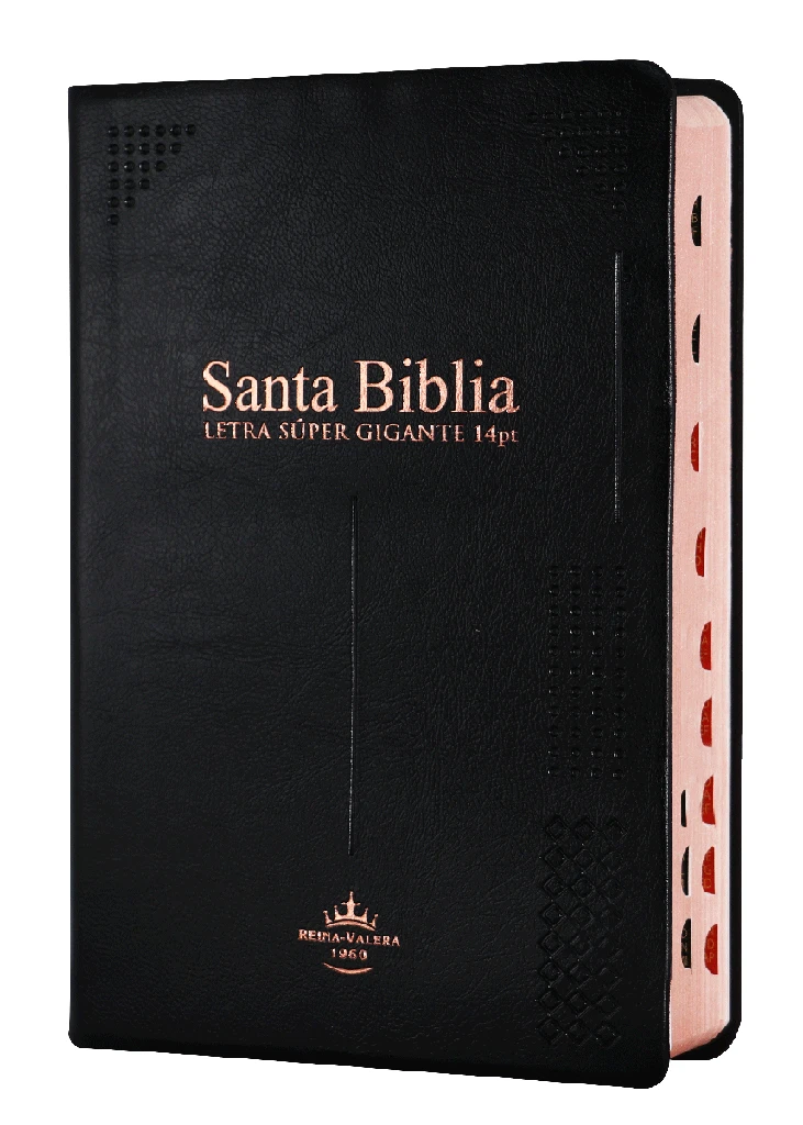 Biblia Gigante