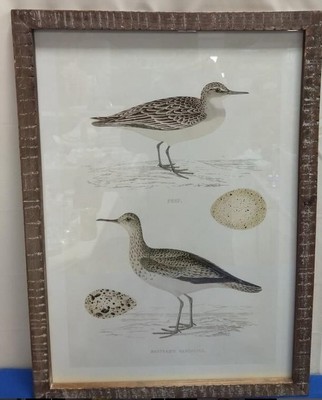 New WMC Framed SANDPIPERS with Beautiful Rustic Framed Art