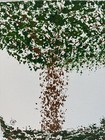Original Art for Sale by Artist “Gum Tree Ball” Signed  — photo 9
