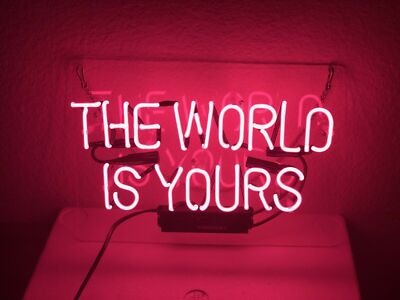 14''x10'' The World Is Yours Neon Sign Acrylic Light Lamp Handmade Wall Display