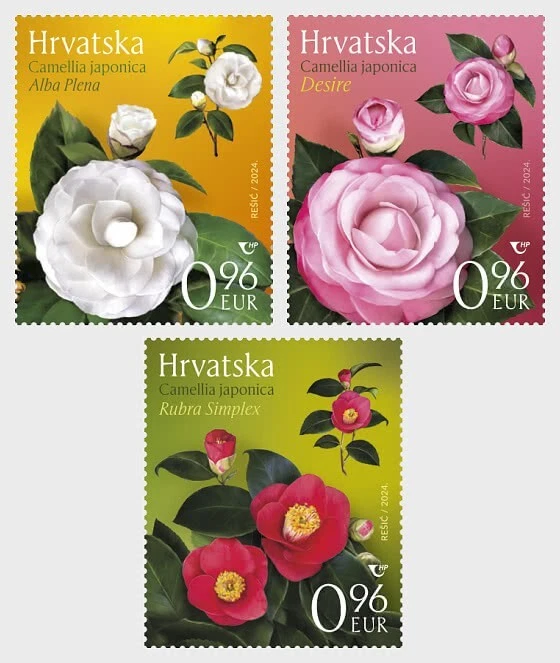 KROATIEN  -  Satz Heimische Flora: Kamelien  2024** - Bild 1 von 1