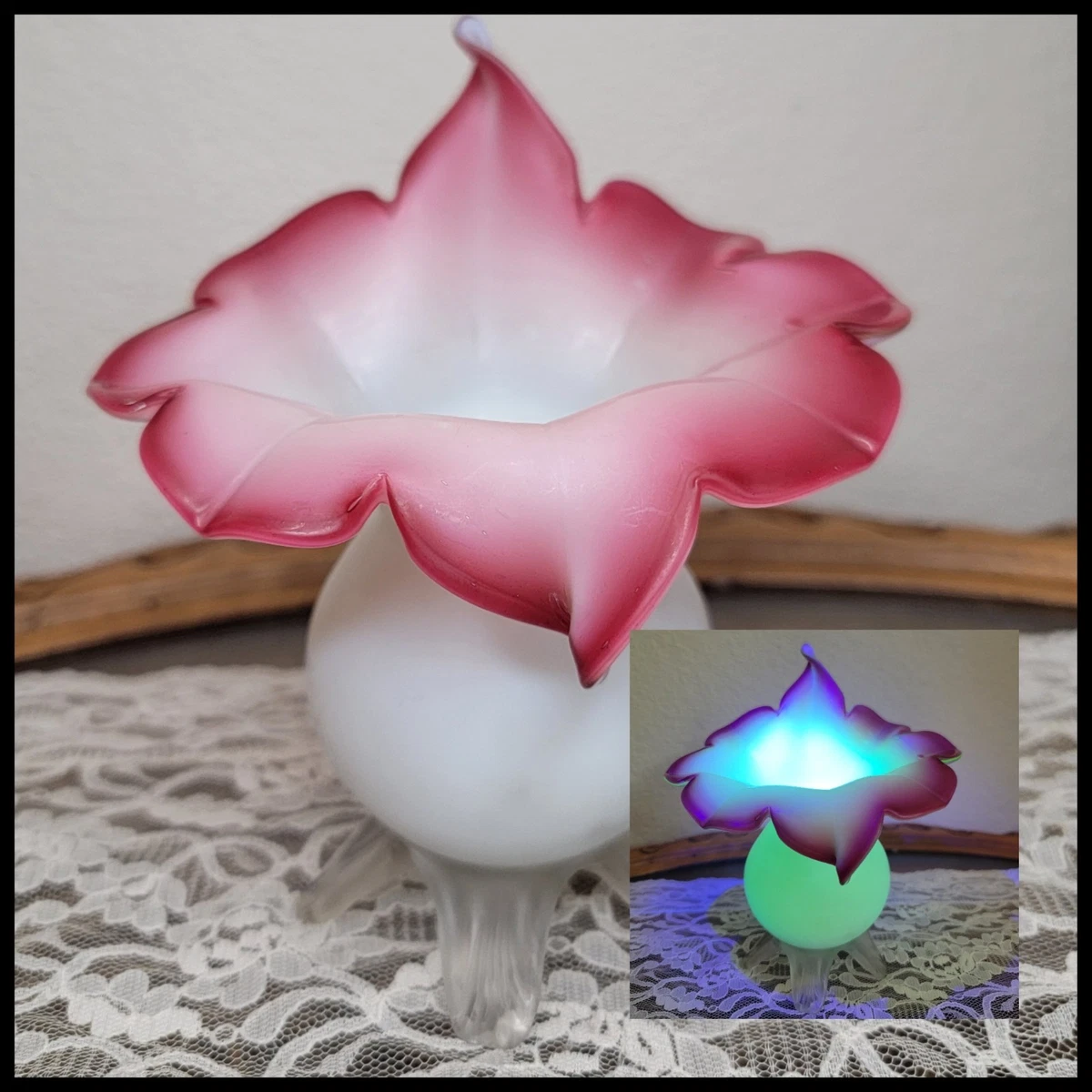 jack in the pulpit vase products for sale | eBay