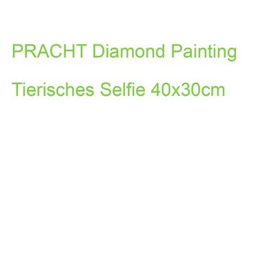 PRACHT Diamond Painting Tierisches Selfie 40x30cm (4016490911074) (6037-40121)
