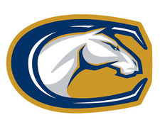 UC Davis Aggies Weather Resistant Vinyl Die Cut Sticker Decal 02