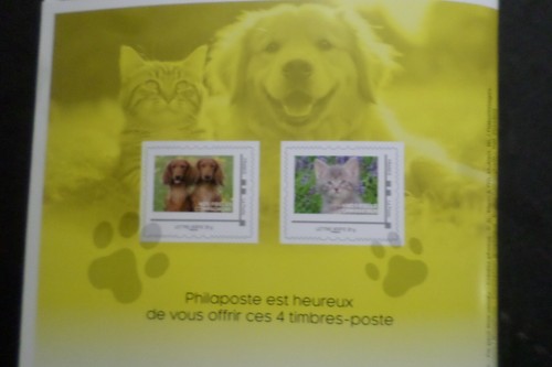 Francia 2024 Coleccionista 4 Sellos Chien / Gato Cachorros / Gatitos Adhesivos - Imagen 3 de 3