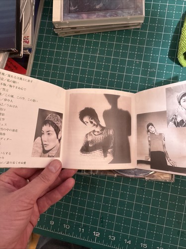 Faye Wong THE BEST OF BEST CD Japanese Import J-Pop Rare! Excellent Condition - Picture 5 of 6