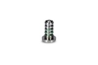 Zentralventil Nockenwellenverstellung Schaeffler INA 427 0016 10 FüR Audi VW A3