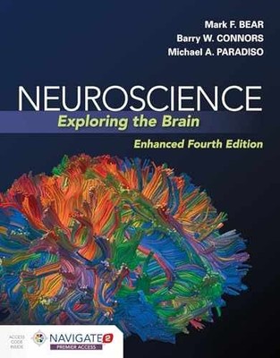 Neuroscience: Exploring the - Paperback, by Bear Mark; Connors - Very Good