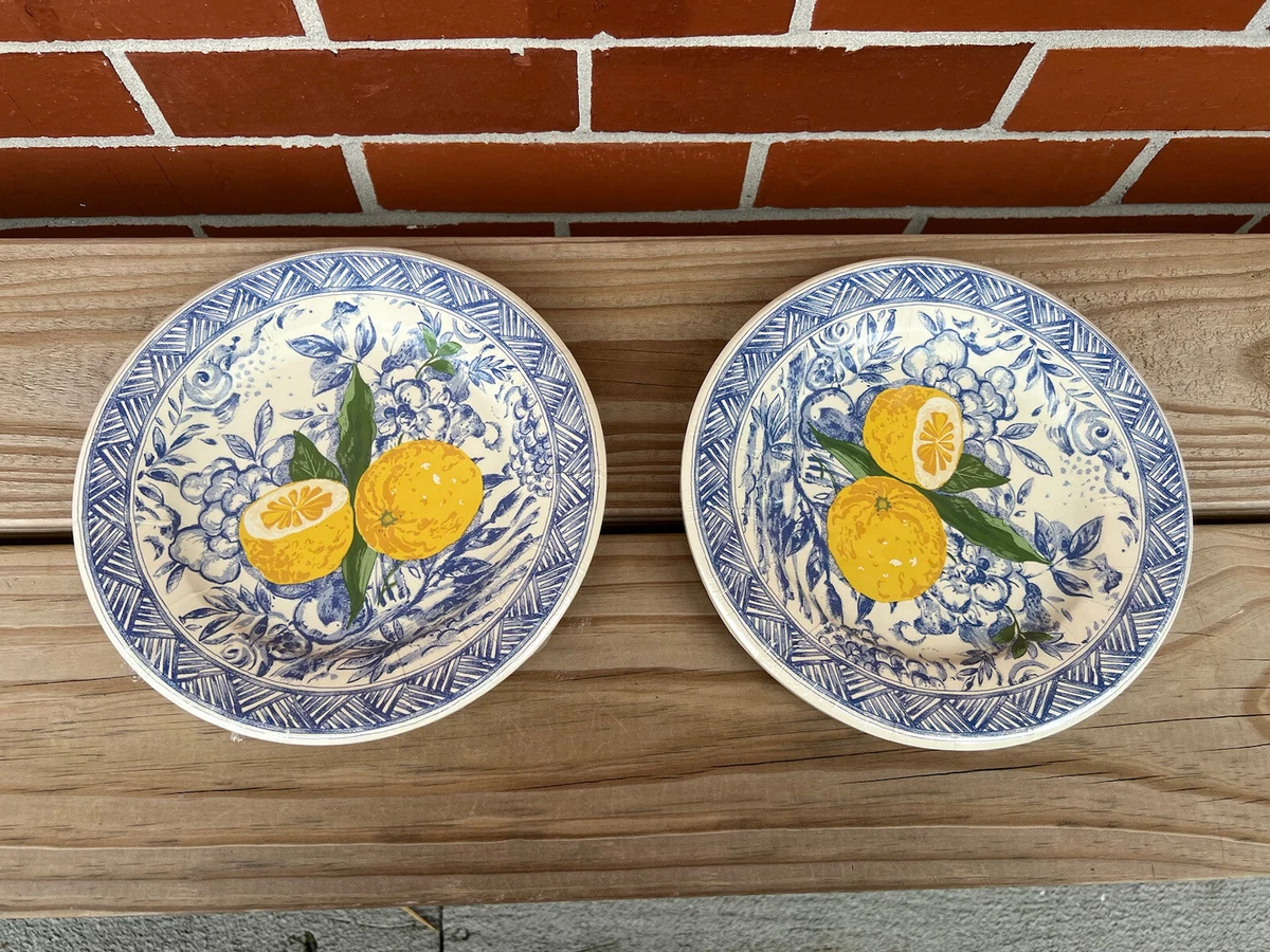 Isabelle De Borchgrave Caspari Salad Dessert Paper Plates Citron
