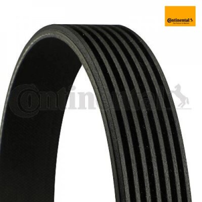 V-ribbed belt Continental CTAM 7PK1051ELAST for Dacia