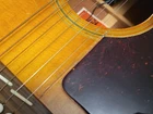 Picture 5 of 24