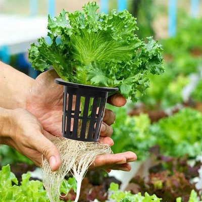 100x Hydroponik Netztöpfe Pflanztöpfe Mesh Net Pot Orchideen topf