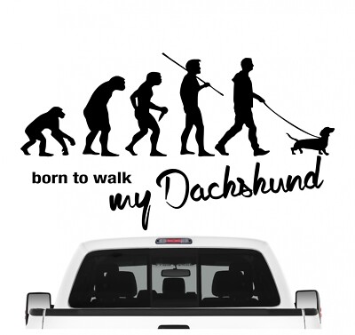 Dachshund Dackel Teckel Wiener Dog Evolution Auto Aufkleber Hund Folie Sticker