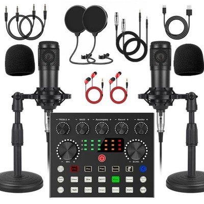 V8s for 2, V8s Voice Changer with BM-800 Podcast Microphone Bundle - Studio C...