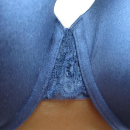 Gilligan & O'Malley Bra Size 38DD Blue Padded Underwire Adjustable Clasp New - Picture 3 of 11