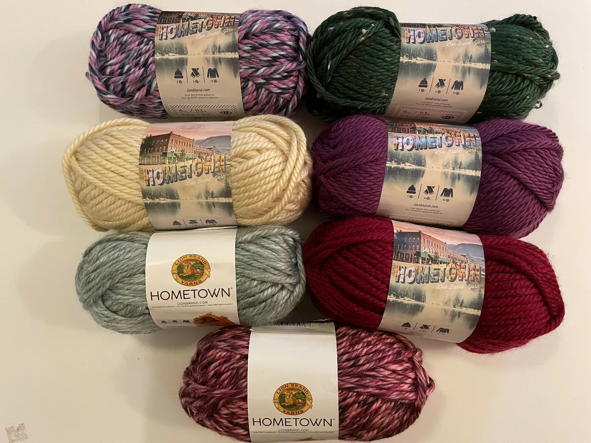 Lion Brand Yarn HOMETOWN #6 Super Bulky Yarn Skein Multiple Colors - You  Pick!!!