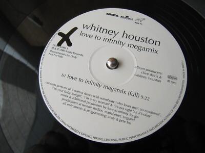 Whitney Houston Love to infinity megamix/Heartbreak Hotel 12