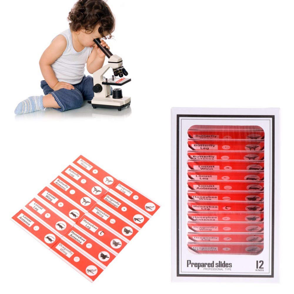 48pcs Prepared Microscope Slides for Kids Animals Insects Plants Biology Science