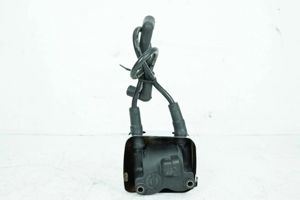 Harley Softail Fat Boy 2002 FLSTFI OEM bobina de encendido bujías cable EFI Foto 2 de 4