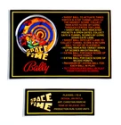 * * 'SPACE TIME' Bally 1972 Custom Instruction/Apron Cards * * (New)