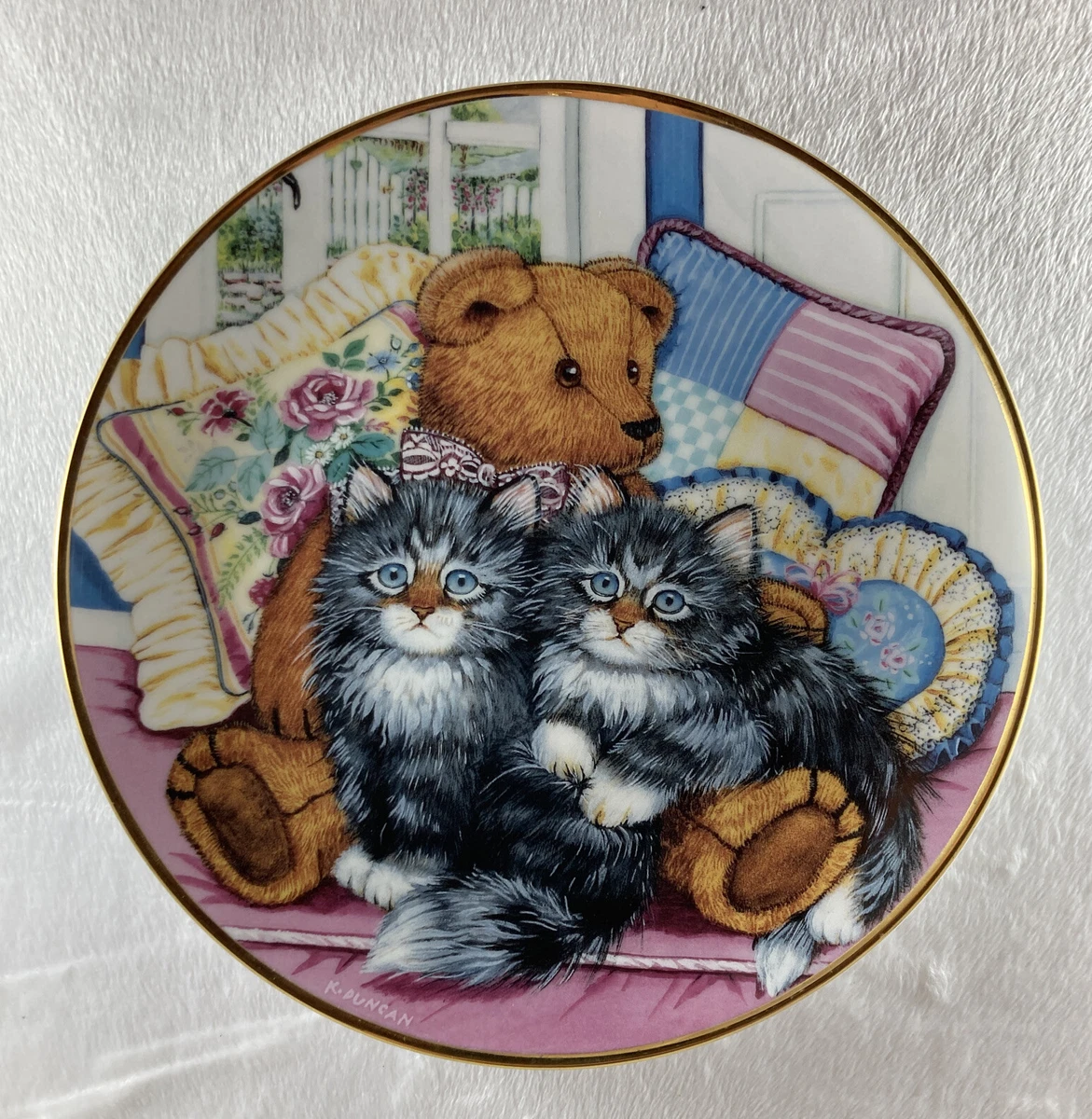 Teddy bear kitten cheap