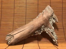 Beautiful 12" DRIFTWOOD Art Terrarium Taxidermy Aquarium Beach Reptile DECOR