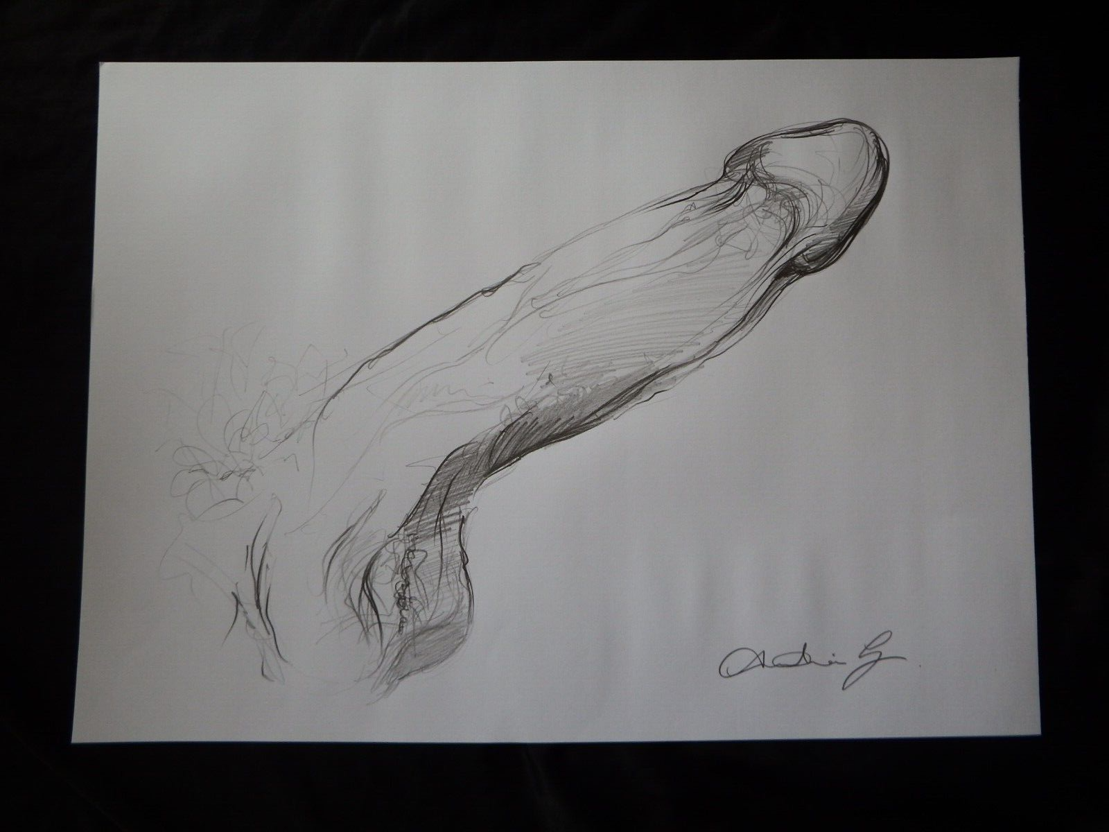 Picture 18 of 21
