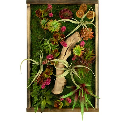 The Monterey Moss & Succulent Frame, Wall Hanging Decor, 21in X 13in