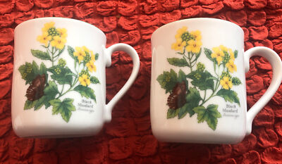 2 Stück Royal Worcester Becher  - Worcester Herbs - Fine Porcelain England