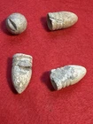 Civil War Bullets Dug Digger Kissed Lot - Richmond, Va