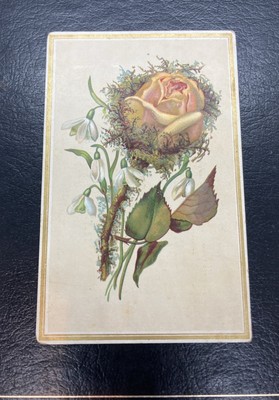 Victorian Trade Card Willett & Quinby Philadelphia / Willett s Favorite Coffee