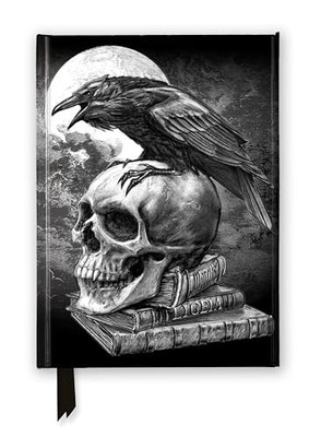 Alchemy: Poe s Raven (Foiled Journal)
