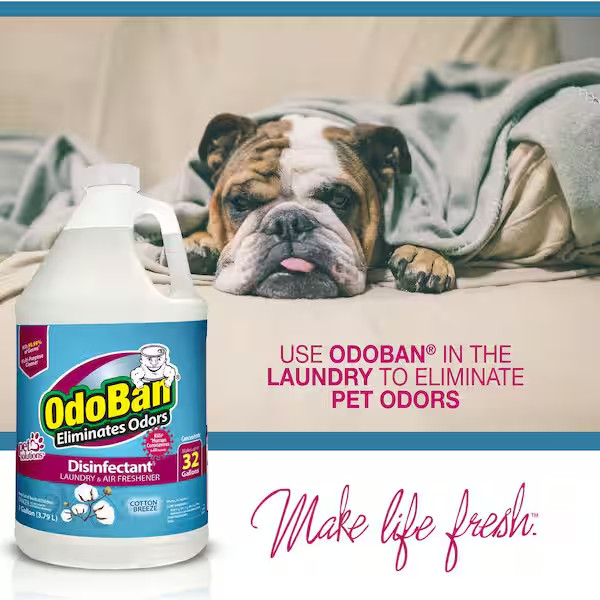 OdoBan 1 Gal. Cotton Breeze Disinfectant and Odor Eliminator Multi-Purpose Clean