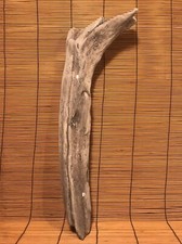 Beautiful 18" DRIFTWOOD Piece Terrarium Taxidermy Aquarium Beach Wood DECOR Art