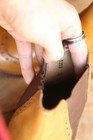 Bild 10 von 10