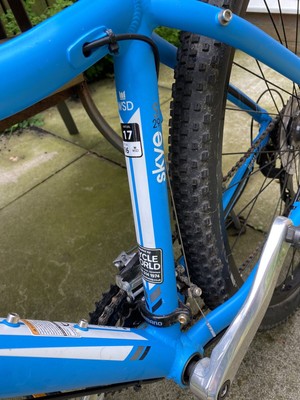 Trek Skye series s 29” Inch Blue Womans 